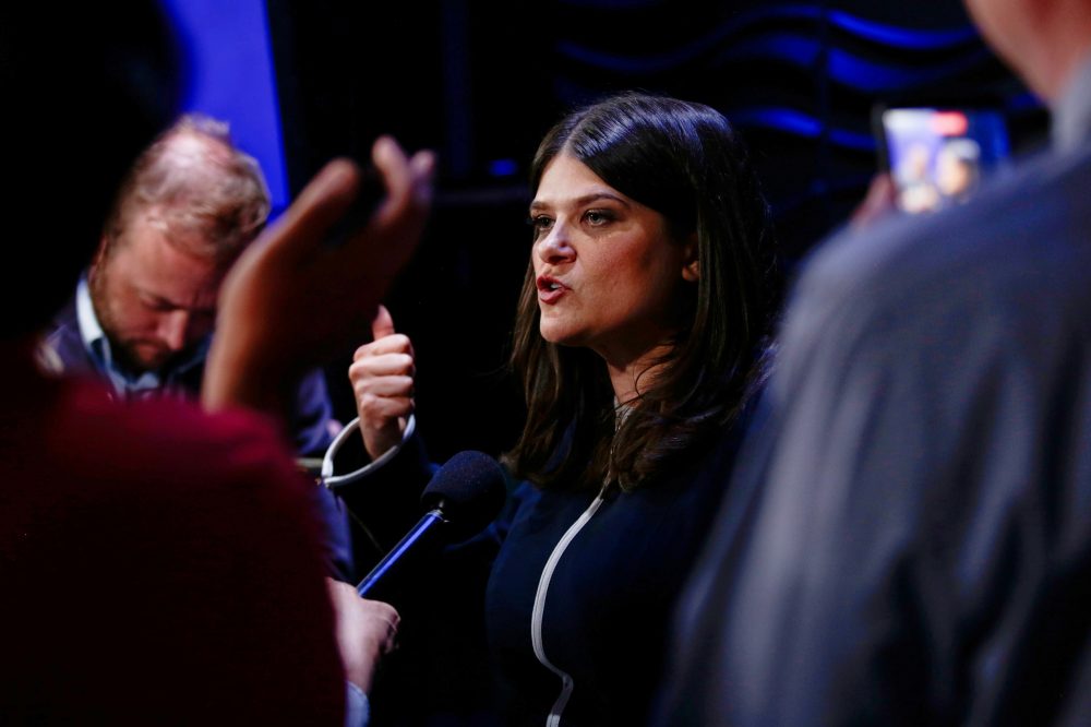 Michigan Senate Race: Can Electability Beat Progressive Energy?