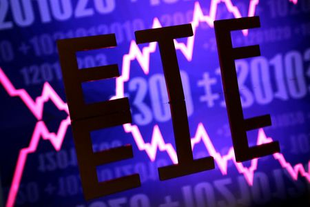 Meme Stock ETF Surges in 2026 But Early Investors Still in the Red