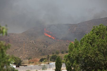 Deadly Spanish Wildfire Kills 11 as Fleeing Residents Trapped on Wrong Roads