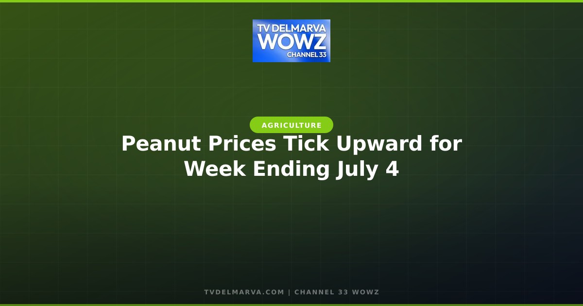 Peanut Prices Tick Upward for Week Ending July 4