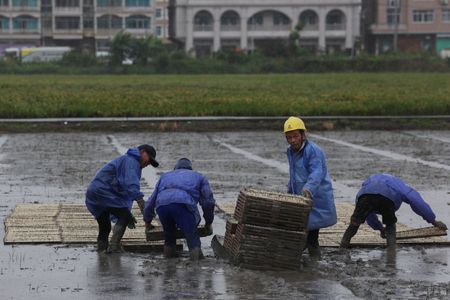 Typhoon Bavi Forces Evacuation of 1.8 Million in China, Targets Major City