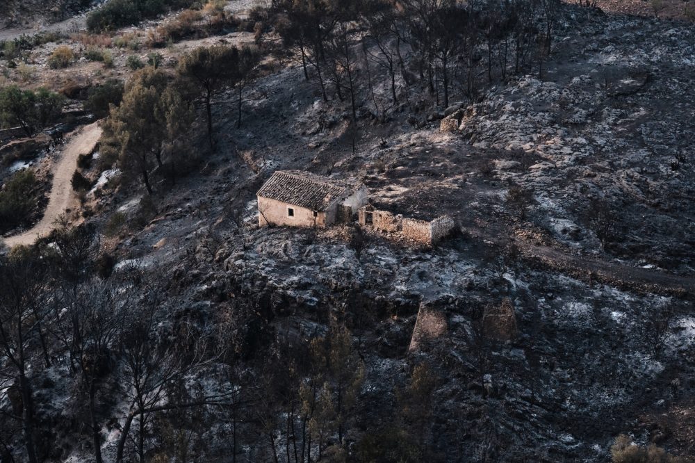 At Least 12 Dead as Massive Wildfire Rages Through Southern Spain