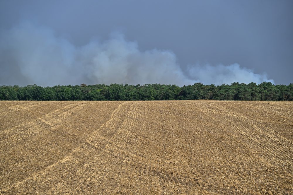 Fontainebleau Forest Fire Near Paris Forces Evacuations, Snarls Traffic