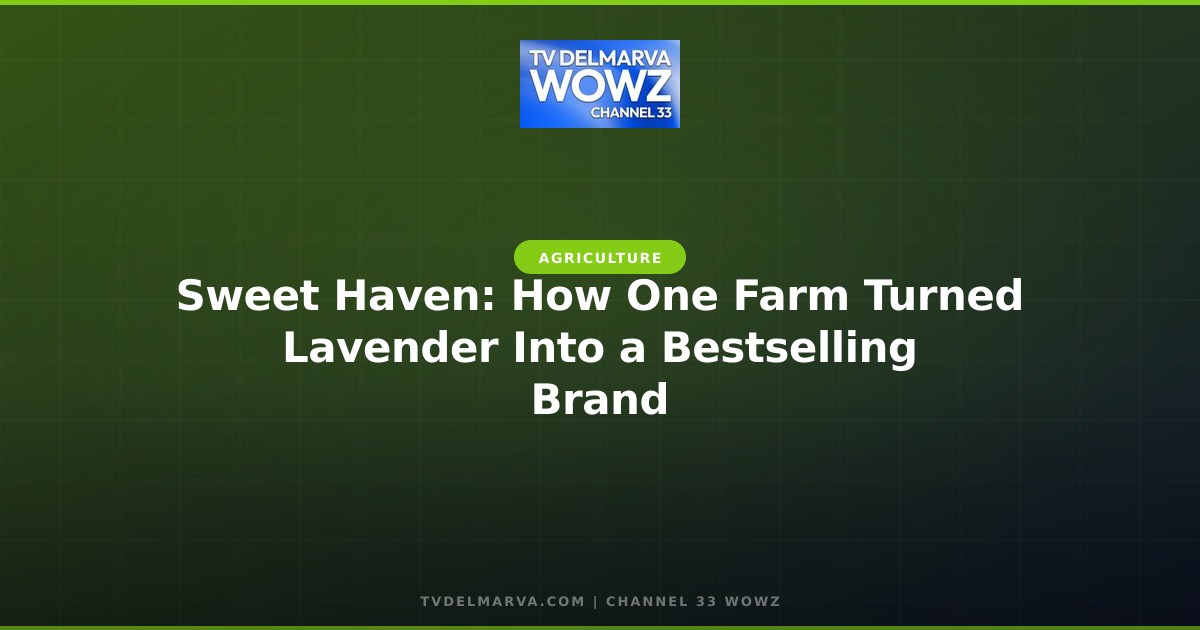 Sweet Haven: How One Farm Turned Lavender Into a Bestselling Brand