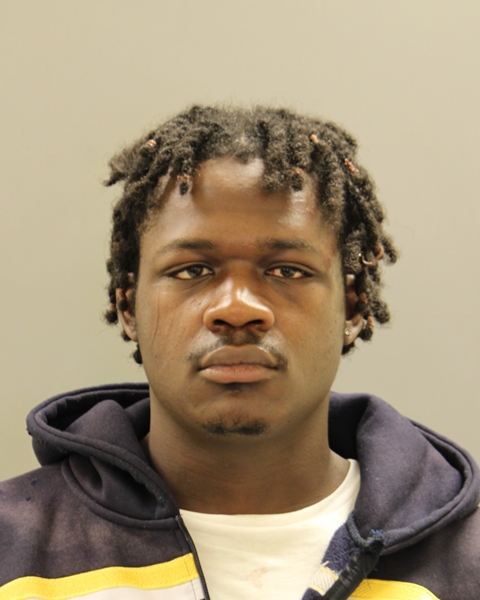 K-9 Vudu Tracks Down Hiding Suspect in Newark Burglary