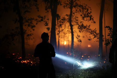 Forest Fire Rages Near Paris Palace; Two Arrested as Flames Scorch Thousands of Acres