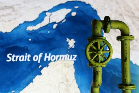 Trump Declares U.S. ‘Guardian of Hormuz Strait,’ Announces 20% Cargo Fee