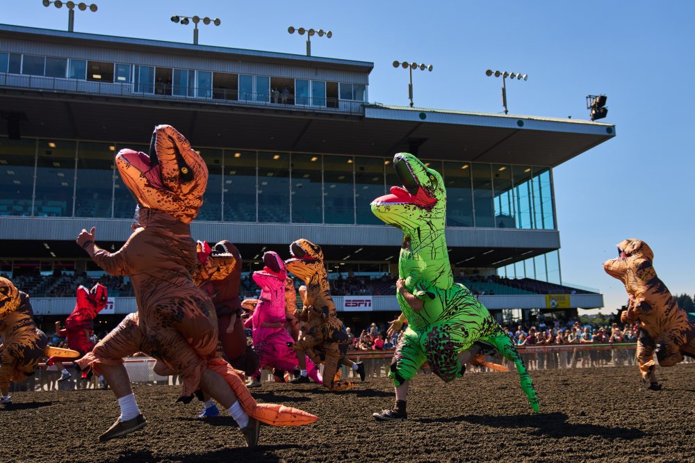 Inflatable T-Rex Costumes Take Over the Track at Emerald Downs in Auburn, Washington