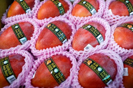 Taiwan’s Prized Mangoes Arrive in Europe for the Very First Time