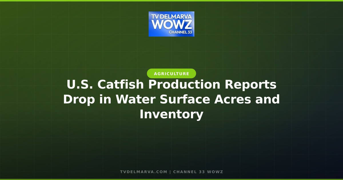 U.S. Catfish Production Reports Drop in Water Surface Acres and Inventory