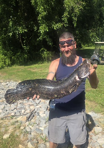 Maryland Fishing Report: What Anglers Need to Know for July 15-21