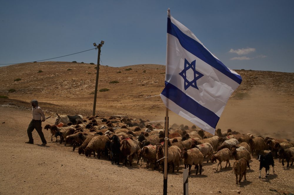 Palestinian Shepherds Struggle to Survive Alongside Expanding Israeli Settlements