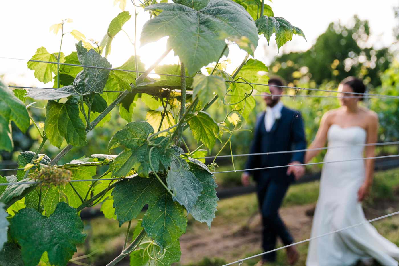 Virginia Farm Families Cash In on Wedding Trend with Scenic On-Farm Venues