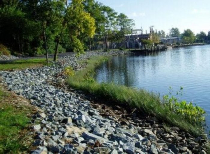 DNREC Seeks Project Proposals for Surface Water Planning Grants