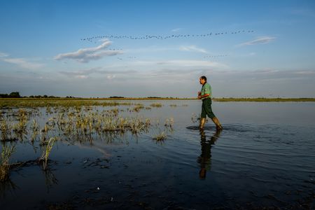 Hungary Pumps Millions of Cubic Meters of Water Into Drought-Stricken Bird Sanctuary