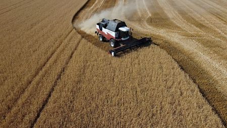 Fuel Crisis and Sea Attacks Push Russian Wheat Farmers to the Brink