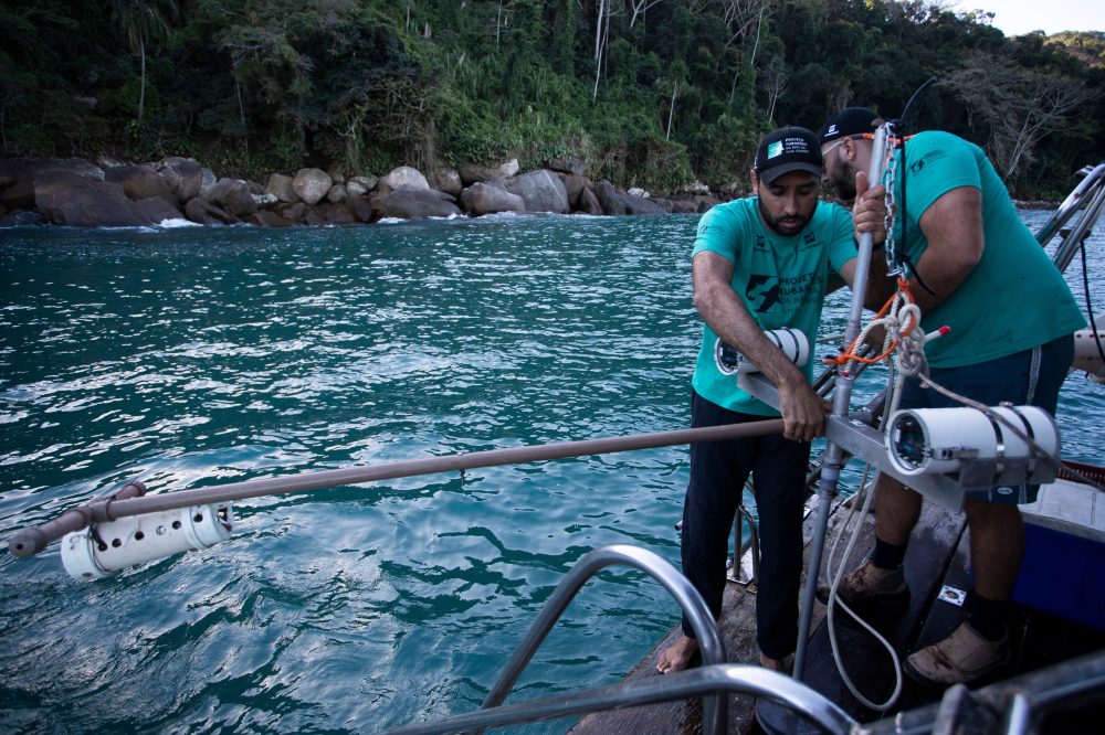 Shark Nursery Discovery in Brazil Sparks Conservation Push