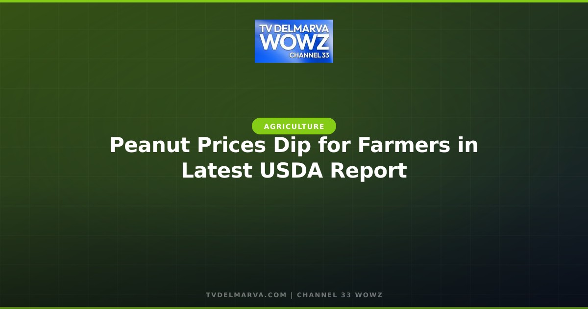 Peanut Prices Dip for Farmers in Latest USDA Report