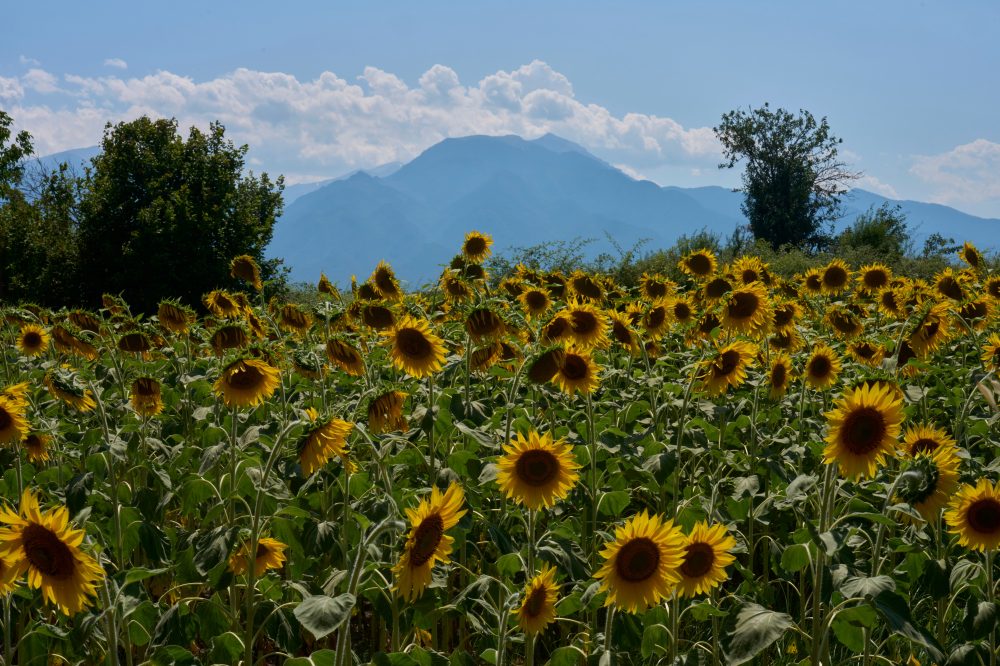 Mount Olympus Seeks UNESCO World Heritage Status Amid Cultural and Natural Splendor