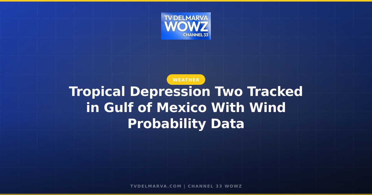 Tropical Depression Two Tracked in Gulf of Mexico With Wind Probability Data