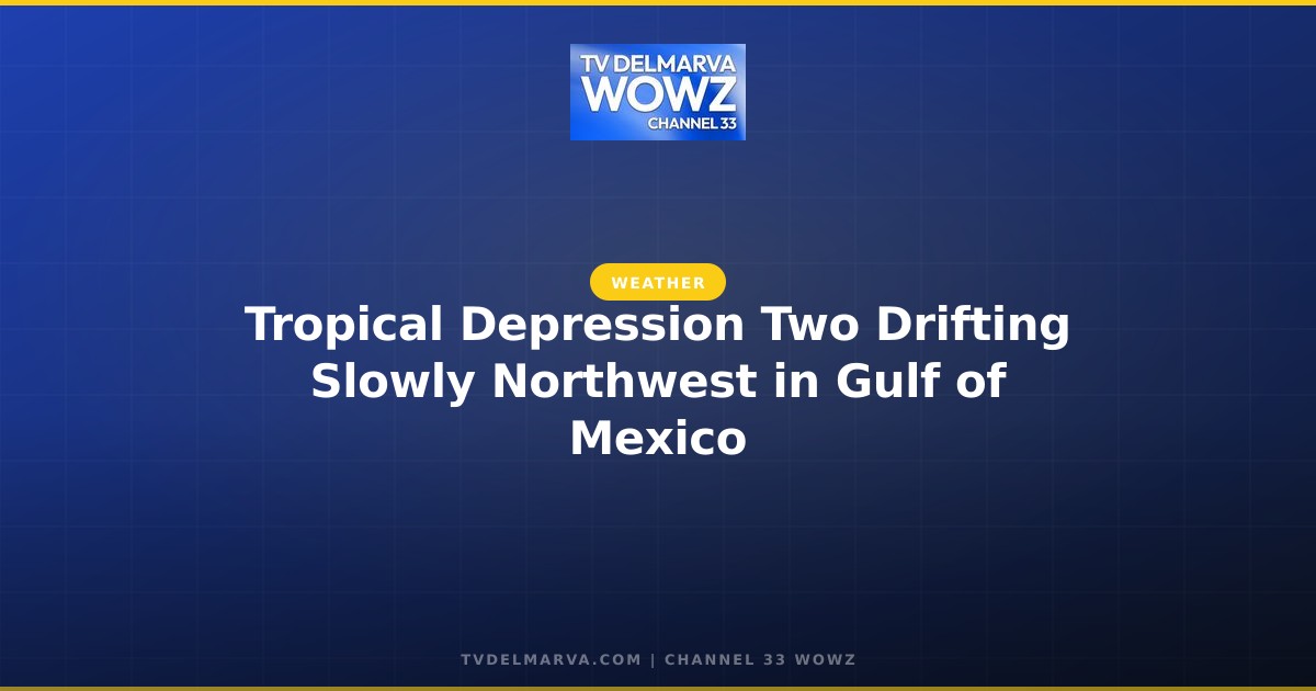 Tropical Depression Two Drifting Slowly Northwest in Gulf of Mexico