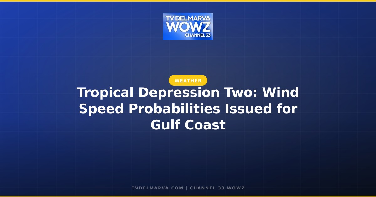 Tropical Depression Two: Wind Speed Probabilities Issued for Gulf Coast