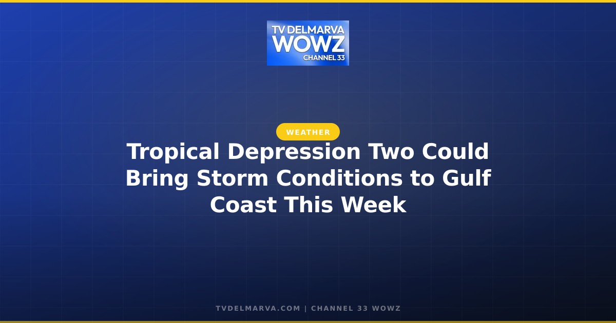 Tropical Depression Two Could Bring Storm Conditions to Gulf Coast This Week