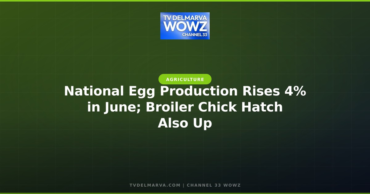 National Egg Production Rises 4% in June; Broiler Chick Hatch Also Up