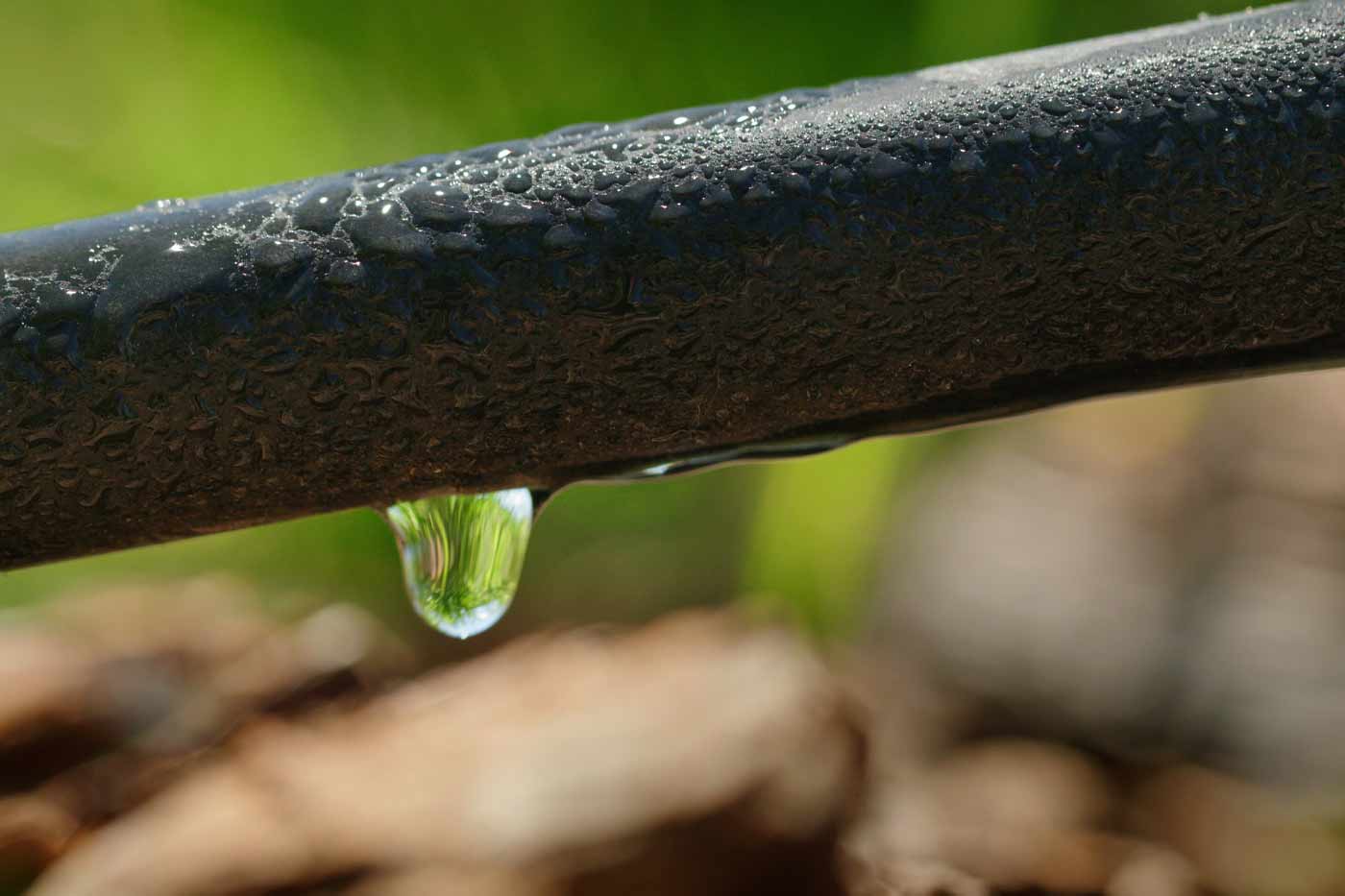 Smart Watering Tips to Help Your Garden Survive Drought Conditions