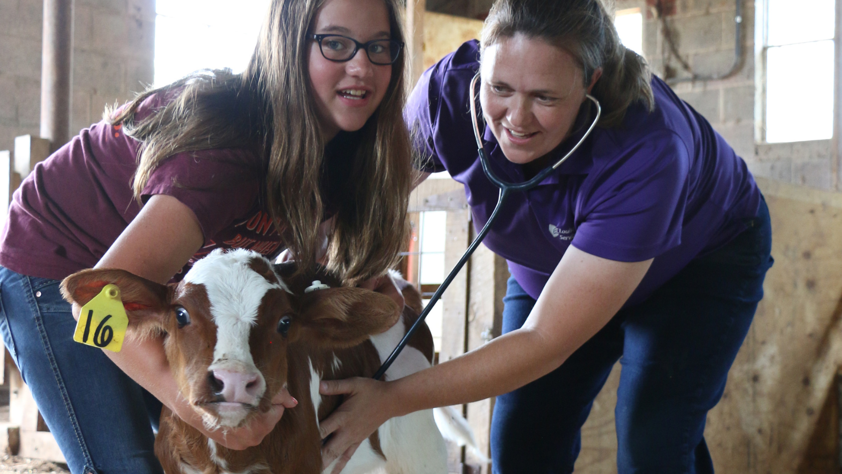 Virginia Opens Grant Applications for Large Animal Vets — Up to $150K Available