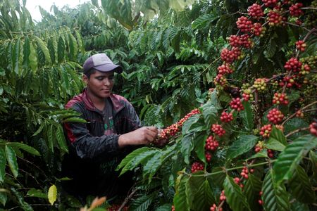 Your Morning Coffee Could Cost More If U.S. Acts Against Nicaragua
