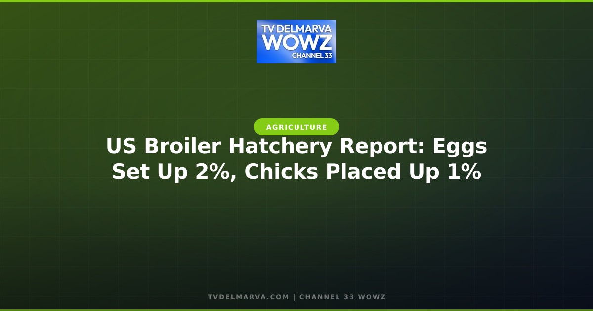 US Broiler Hatchery Report: Eggs Set Up 2%, Chicks Placed Up 1%