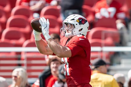Arizona Cardinals TE Travis Vokolek Announces Medical Retirement After Neck Injury