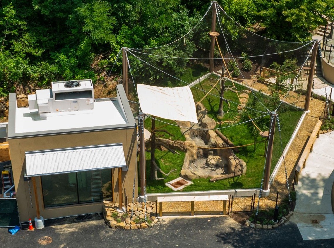 Brandywine Zoo Getting New Year-Round Exhibit for Five At-Risk Species