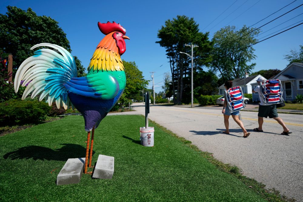 Giant Metal Roosters Unite Community Around Autistic Girl in Maine