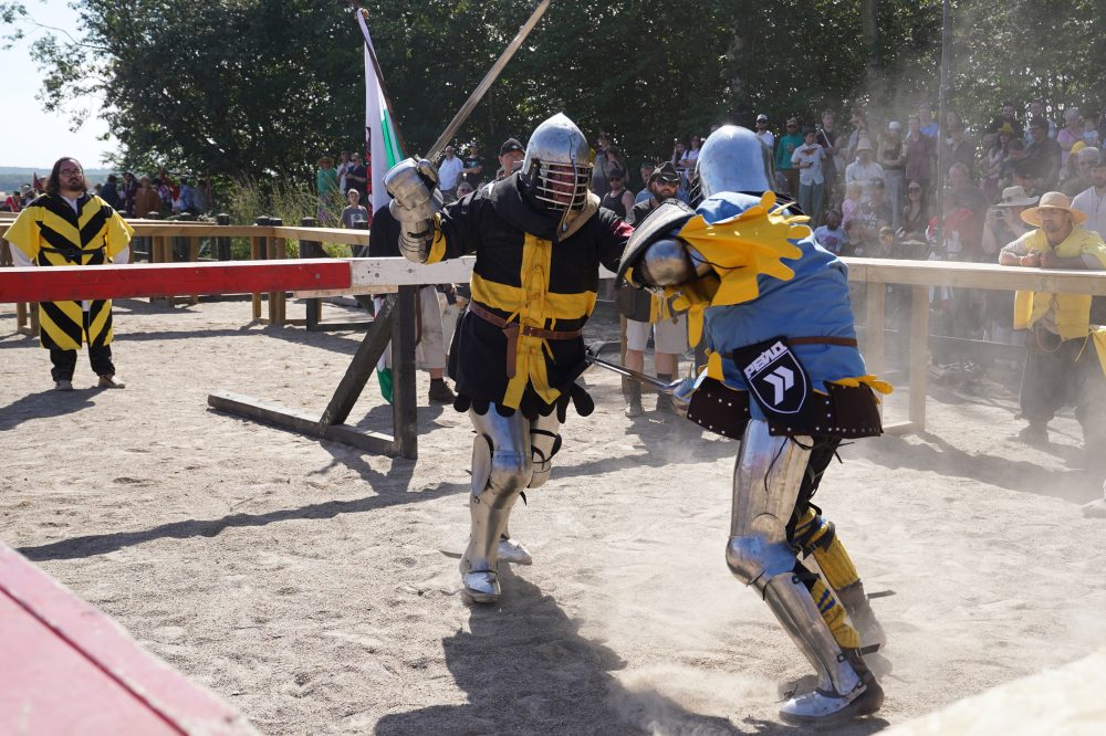 Medieval Warriors Clash at World Championship in Denmark