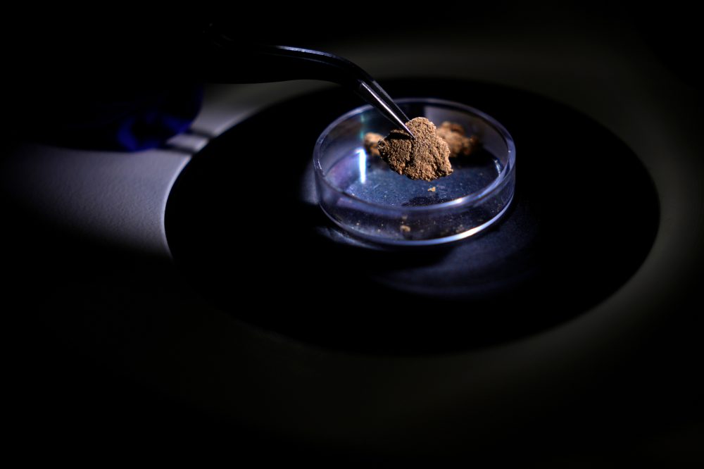 Brazil Deploys Forensic ‘Gold Fingerprinting’ to Fight Amazon Illegal Mining