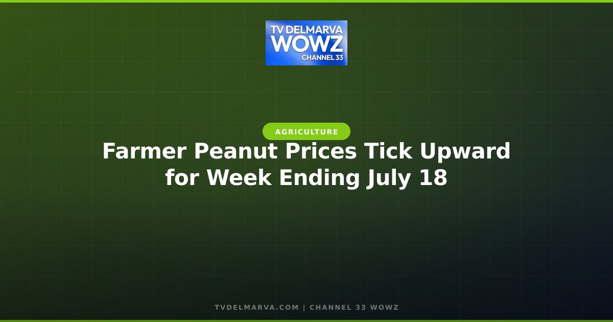 Farmer Peanut Prices Tick Upward for Week Ending July 18