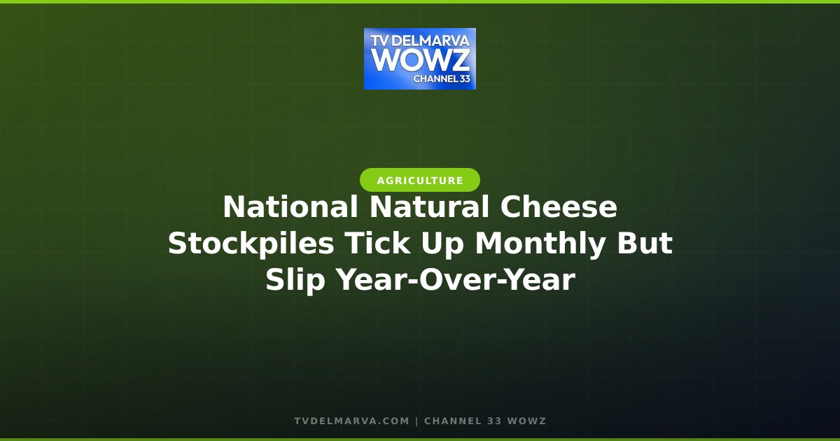 National Natural Cheese Stockpiles Tick Up Monthly But Slip Year-Over-Year