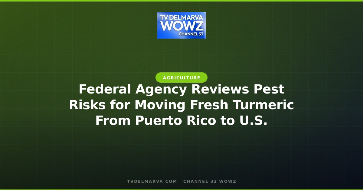 Federal Agency Reviews Pest Risks for Moving Fresh Turmeric From Puerto Rico to U.S.