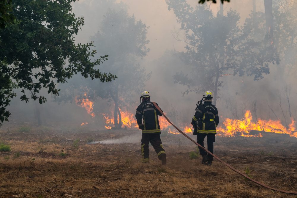 Massive Wildfire Forces Evacuations Near Bordeaux, France