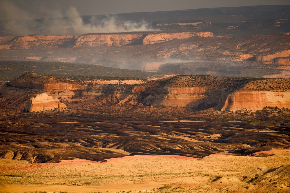 Fourth Firefighter Dies Weeks After Colorado Wildfire Burnover Tragedy