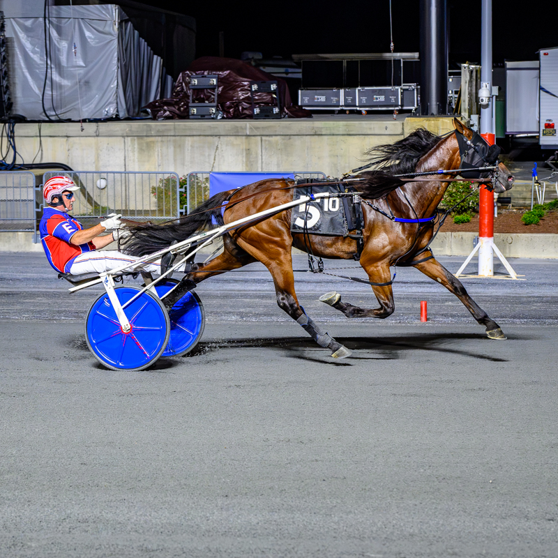 Delaware Standardbred Champions Crowned at Harrington Raceway
