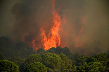 Wildfires Rage Near Bordeaux as France and Spain Evacuate Hundreds of Thousands