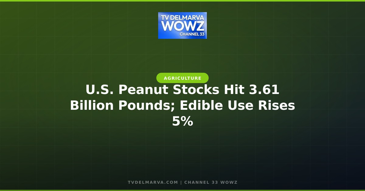 U.S. Peanut Stocks Hit 3.61 Billion Pounds; Edible Use Rises 5%