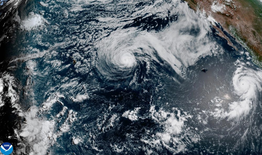 Two Pacific Storms Churn Simultaneously: Genevieve Powers Up, Fausto Fades